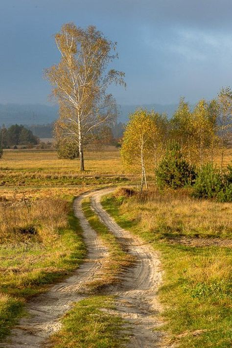 Country Photography, After Rain, Country Roads Take Me Home, Country Scenes, Back Road, Dirt Road, Beautiful Evening, Alam Yang Indah, Landscape Photos