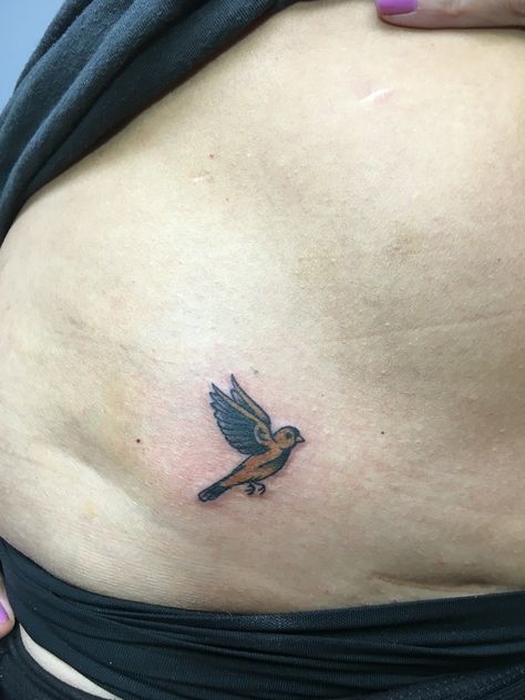 Canary Tattoo Ideas, Golden Finch Tattoo, Finch Bird Tattoo, Canary Bird Tattoo, Yellow Finch Tattoo, Gold Finch Tattoo, Goldfinch Tattoo, Canary Tattoo, Yellow Bird Tattoo