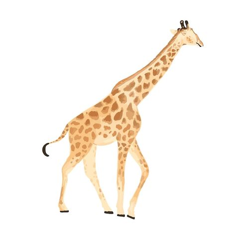 Nursery Animal Art, Chic Illustration, Sabina Fenn, Giraffe Illustration, Canvas Bag Diy, Giraffe Art, Watercolor Nursery, Minimalist Art Print, Selling Prints