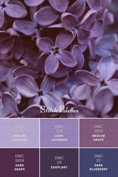 Floss color inspiration for cross stitch and embroidery projects. Thread colors used: DMC 210: Medium Lavender / DMC 209: Dark Lavender / DMC 3835: Medium Grape / DMC 3834: Dark Grape / DMC 29: Eggplant / DMC 32: Dark Blueberry. Palette ID: SPA0381 Thread Color Chart, Violet Bedroom, Violet Color Palette, Bed Inspiration, Purple Bathroom, Purple Palette, Grape Color, Purple Color Palettes, Purple Bedroom