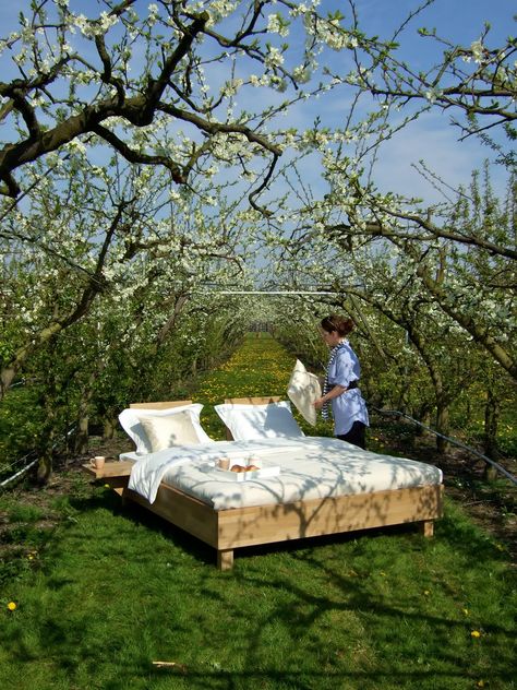 I do not like the idea of sleeping in this bed outside over night, but the idea of waking up at this bed in the orchard and having breakfast here is very attractive! Bed Outside, Sleeping Outside, Pool Bed, Sleeping Porch, Bed And Breakfast Inn, Nature Photoshoot, Outdoor Beds, Creative Shot, Over Night