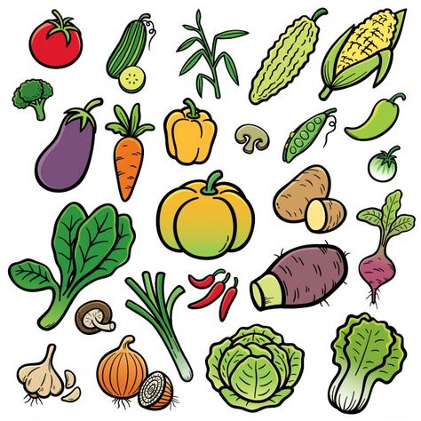 Vegetable set | Premium Vector #Freepik #vector #sweet #vegetable #pumpkin #corn Grocery Logo, Fruits And Vegetables Illustration, Card Game Ideas, Vegetables Illustration, Food Doodle, Bat Vector, Vegetable Drawing, Vegetable Painting, Food Paper