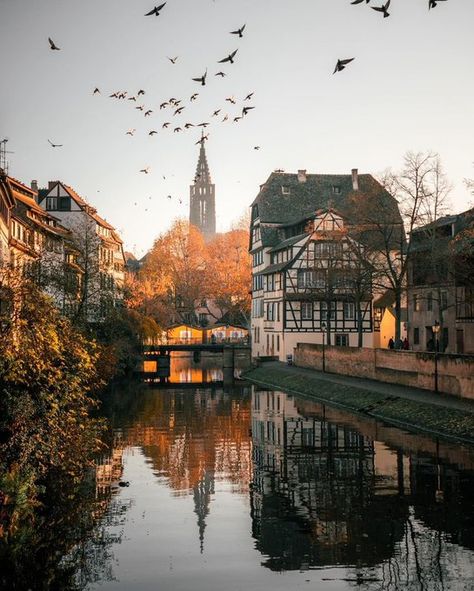 Bookmarks / X Strasburg France, France City, France Aesthetic, Alsace France, Strasbourg France, Voyage Europe, France Photos, Europe Summer, Rooftops