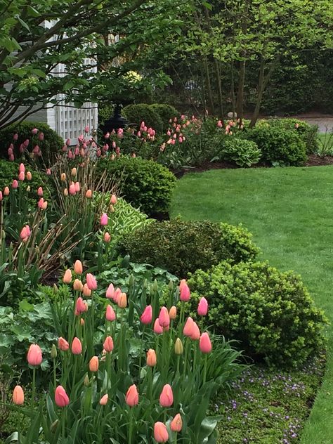 Gardening Inside, Front Yard Flowers, Northwest Garden, Gardening Indoors, Flower Borders, Beautiful Borders, Kerri Rosenthal, Ideal House, Planting Pots