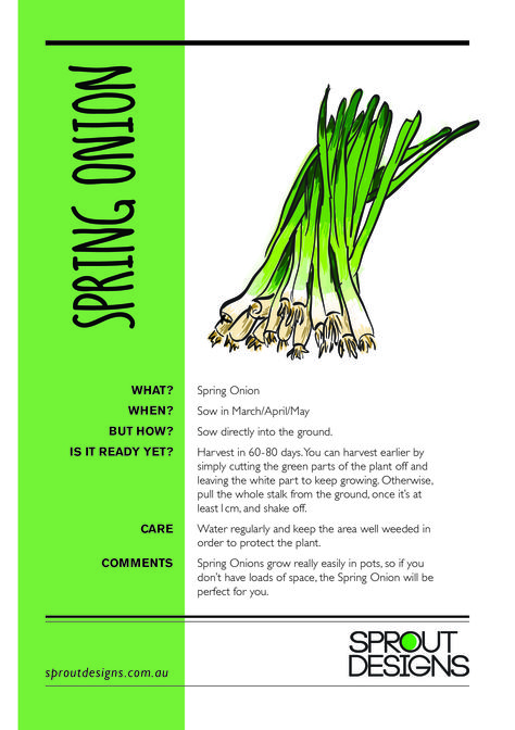 How to grow Spring Onions! Growing Spring Onions, Garden Friends, Planting Onions, Planting Guide, Garden Growing, Plant Journal, Spring Onions, Reference Drawing, Growing Tips