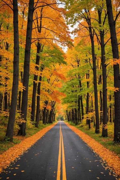 Every little thing she does is magic. Illinois Landscape, Fruits Farm, Fall Scenes, Starved Rock State Park, Starved Rock, Rock Springs, New England Fall, Autumn Foliage, Autumn Drives