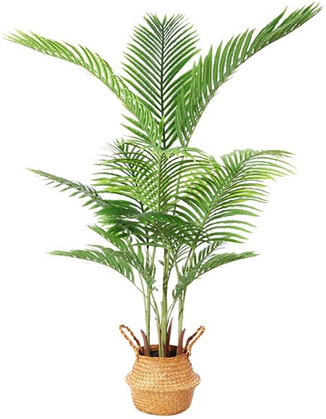 Dypsis Lutescens, Areca Palm Plant, Palm Plants, Artificial Grass Wall, Bird Of Paradise Plant, Paradise Plant, Belly Basket, Areca Palm, Palm Tree Leaves