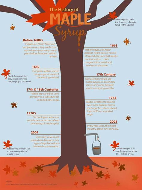 History of Maple in Canada Maple Sugaring Activities, Maple Syrup Taps, Maple Tapping, Maple Recipes, Maple Syrup Recipes, Tree Study, Sunday School Crafts For Kids, Timeline Infographic, Plant Science