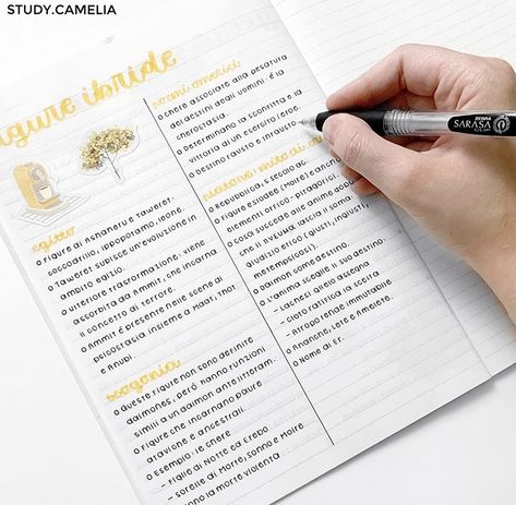 Italian Notes Aesthetic, Aesthetic Notes In Cursive, Studying Italian Aesthetic, Aesthetic One Note Notes, Aesthetic Summary Notes, Aesthetic Messy Notes, Aesthetic Notetaking, Note Taking Tips, Handwriting Examples