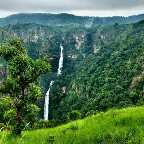 wli waterfalls ghana:  Wli Waterfall Ghana is the highest cascade in whole of West Africa. It is locally pronounced as ‘vlee’ by the natives of Volta- the Ewes. Wli Waterfall is one of the greatest travel attraction sites in West Africa.    Geographically Wli Waterfall lies close to the border between Togo and Ghana and is a hub for flora and fauna. Ghana Forest, Wli Waterfalls, Ghana Landscape, Ghana Tourism, Nature Tourism, Travel And Tourism, West Africa, Ghana, Nature Pictures