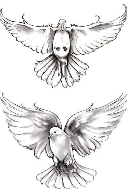 Cute black and gray doves for women. Style: Black and Gray. Color: Gray. Tags: Cute, Nice Dove Tattoo Meaning, Dove Sketches, White Dove Tattoos, Dove Drawing, Dove Tattoo Design, Dove Tattoos, Tier Tattoo, Dove Tattoo, Memorial Tattoos