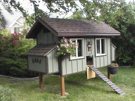 chicken-coop15 Chicken Coop Building Plans, Patio Chico, Cute Chicken Coops, Chicken Barn, Portable Chicken Coop, Coop Design, Best Chicken Coop, Beautiful Chickens, Chicken Coop Designs