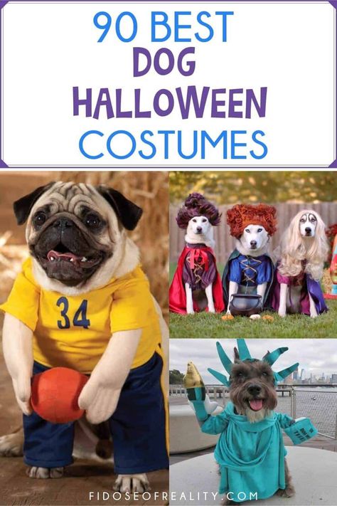 Dog Costumes Funny Hilarious, 3 Dog Costume Ideas, Matching Dog Halloween Costumes For 2 Dogs, Trio Dog Halloween Costumes, Diy Pet Halloween Costumes, Group Dog Halloween Costumes, Dog Group Costumes, Easy Diy Dog Costumes For Halloween, Dog Costume Ideas For 2 Dogs