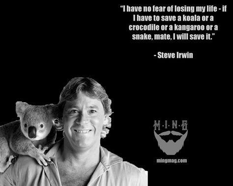 Steve Irwin Tattoo, Steve Irwin Quotes, Steve Irwin Day, Irwin Family, Steve Irwin, Animal Activism, Photo Recreation, About Quotes, Dreams Do Come True