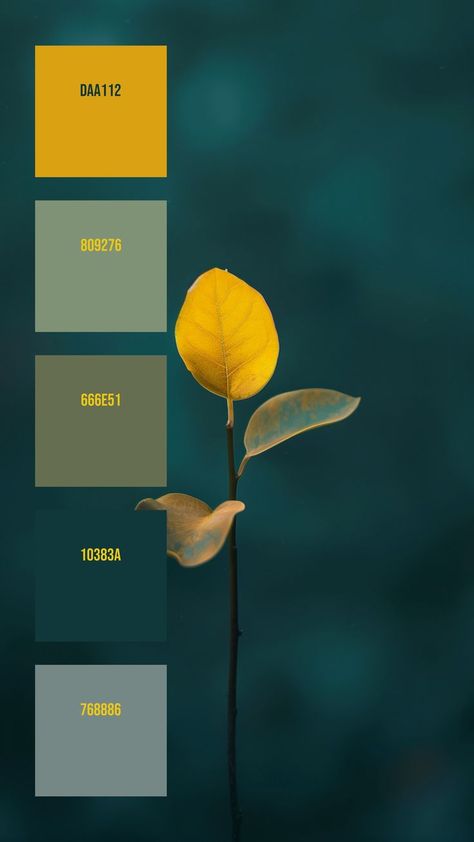 Colors:
DAA112
809276
666E51
10383A
768886 Modern Yellow Color Palette, Dandelion Color Palette, Blue Yellow Green Color Palette, Green Yellow Color Palette, Blue Green Wedding Colors, Yellow And Green Color Palette, Vivid Color Palette, Yellow Colour Palette, Dandelion Color