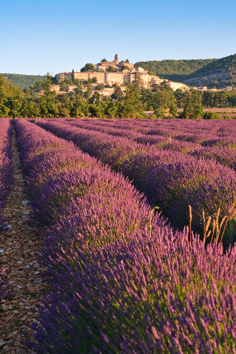 The beautiful small village of Banon in Provence, France, with rows of lavender in the front © Rainer & Simone Hoffmann #travelphotography #france #europe #photography #provence #landscapephotography Provence France Aesthetic, Provence Villages, Provence Aesthetic, French Lavender Fields, Olive Foliage, French Landscape, Pernod Ricard, France Aesthetic, Europe Photography