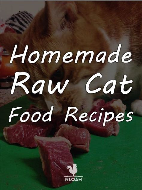 Raw feeding your cat comes with a lot of benefits, but also with some precautions. Try out our recipes at home to stay safe. Kitten Recipes, Homemade Raw Cat Food, Raw Cat Food Diet, Homemade Food Recipes, Cat Food Recipes, Raw Cat Food, Kitty Treats, Kitty Care, Diy Cat Food