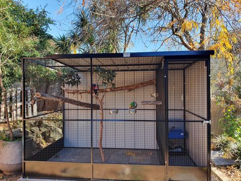 Birds Cage Ideas Outdoor, Bird Aviary Ideas Outdoor, Aviary Ideas Outdoor, Outdoor Aviary, Aviary Ideas, Finch Cage, Diy Bird Cage, Bird Mom, Bird Aviary