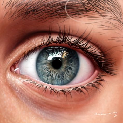 Human Eye Drawing, Digital Art Software, Beautiful Eyes Color, Eyeball Art, Eye Close Up, Digital Painting Portrait, Eyes Artwork, 얼굴 그리기, Photos Of Eyes