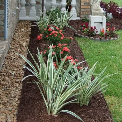 Xeriscape Landscaping, Front Flower Beds, French Drain, Front Landscaping, Home Landscaping, Yard Design, Beautiful Backyards, House Landscape, Landscaping With Rocks