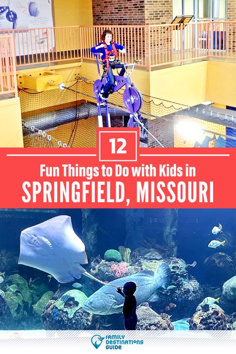 Dreaming about a family vacation to Springfield, MO and looking for things to do? We’re FamilyDestinationsGuide, and we’re here to help: Discover the most fun things to do in Springfield with kids - so you get memories that last a lifetime! #springfield #springfieldthingstodo #springfieldwithkids #springfieldactivities Branson Missouri Vacation, National Park Hikes, Springfield Massachusetts, Springfield Illinois, Fun Winter Activities, Bryson City, Springfield Missouri, Branson Missouri, Branson Mo