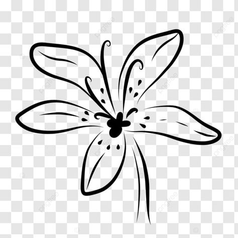 lily flower drawing silhouette clipart illustration lily flower drawing outline png Flower Drawing Outline, Lily Flower Drawing, Drawing Silhouette, Outline Illustration, Vector Artwork, Lily Flower, Png Transparent, Flower Drawing, Clipart Images