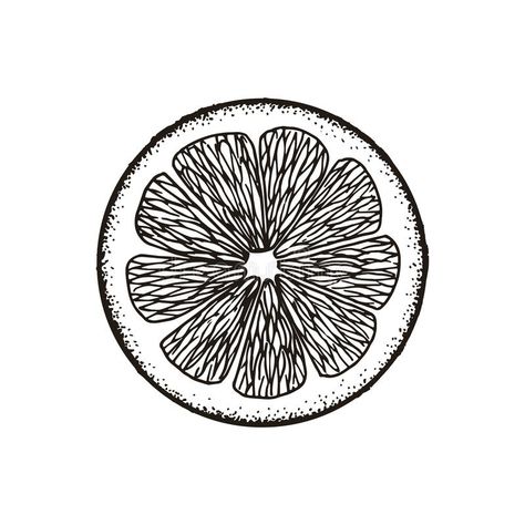 Orange Drawing Black And White, Orange Slice Sketch, Grapefruit Slice Tattoo, Grapefruit Tattoo Black, Orange Sketch Drawing, Lemon Slice Illustration, Lime Slice Drawing, Orange Slice Illustration, Passionfruit Drawing