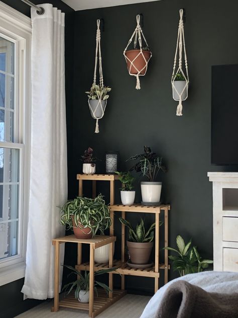 Loving my new corner! Sherwin Williams Shade-Grown paint color. Moody Paint Colors, Boho Paint Colors, Moody Paint, Dark Paint Colors, Dark And Moody, Diy Home Decor Ideas, Room Paint Colors, Paint Colors For Living Room, Cozy Vibes