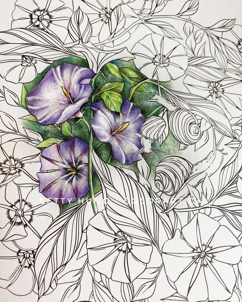 Flowerscape Coloring Book (@colorflowerscape) • Instagram photos and videos Flowerscapes Coloring Book, Flowerscape Coloring Book Finished Pages, Flowerscape Coloring, Prismacolor Flowers, Prismacolor Combos, Maggie Enterrios, Leila Duly, Colored Pencil Drawing Techniques, Colored Pencil Art Projects