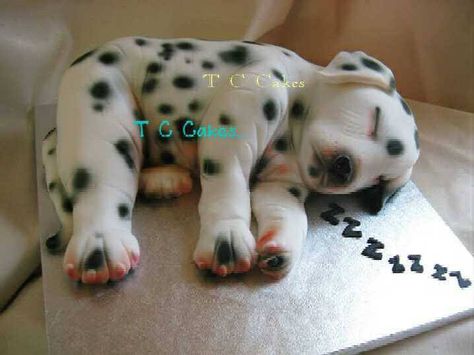 sleeping-puppy-t-c-cakes-goodie-box Puppy Dog Cakes, Birthday Cake Cookies, Realistic Cakes, Puppy Cake, Cupcakes Decorados, Sculpted Cakes, Animal Cakes, Dog Cakes, Dalmatian Dog