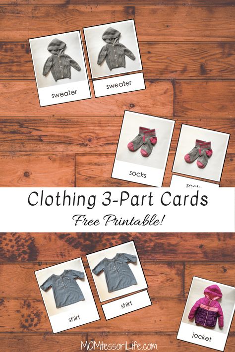 Montessori 3 Part Cards Free Printable, 3 Part Cards Montessori Free Printable, Kids Learning Activities Preschool, Montessori Projects, Clothes Study, Clothing Study, Early Head Start, Homeschooling Materials, Montessori Language