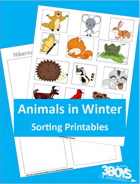 Animals in Winter: Hibernating Books, Printables, & Activities for Preschool Kids! Preschool Activities Science, Winter Animals Preschool Activities, Animals Preschool Activities, Hibernation Preschool Activities, Winter Animals Preschool, Hibernation Preschool, Hibernation Activities, Animals In Winter, Winter Hibernation