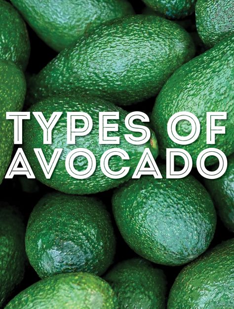 From Hass to Zutano, we're covering 23 types of avocados in this helpful guide to different kinds of avocados. How To Pick A Good Avocado, Different Ways To Eat Avocado, How To Choose Avocado, Avocado Facts, Avocado Types, Avocado Varieties, Avocado Ice Cream, Bacon Avocado, Avocado Tree