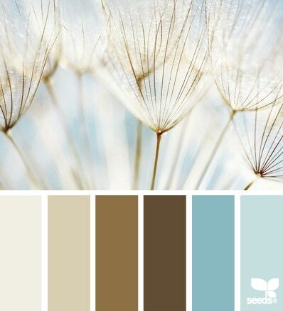 Soft earth tones Color Palate, Design Seeds, Colour Schemes, Bedroom Colors, Color Pallets, Room Colors, Colorful Decor, My Dream Home, Wall Colors