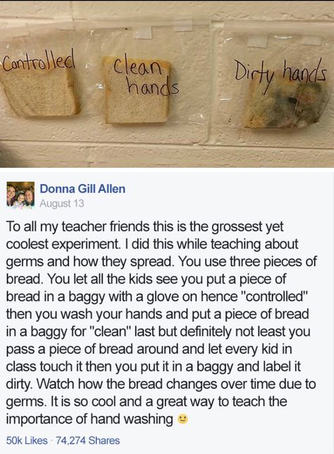 Teaching about food, germs, and hand washing Germs Preschool Activities, Germs Preschool, Germs Lessons, Germs Activities, September Preschool, Health Lessons, Daycare Activities, Preschool Lesson Plans, Skills Activities