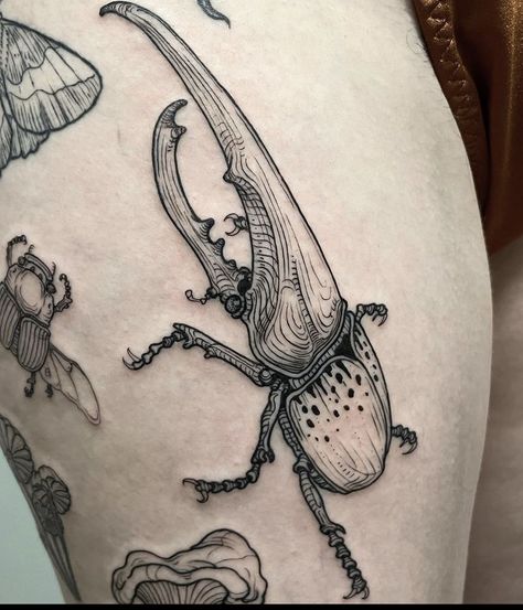 Botanical Sticker Sleeve Tattoo, Creepy Bug Tattoo Ideas, Beetle Drawing Tattoo, Insect Leg Sleeve, Weird Bug Tattoos, Insect Leg Tattoo, Scientific Illustration Tattoo Sleeve, Tattoo Ideas Insects, Dark Bug Tattoo