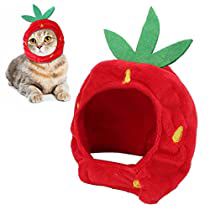 Check this out on Amazon Cute Cat Costumes, Strawberry Color, Pet Halloween Costumes, Bear Hat, Halloween Animals, Elastic Headbands, Pet Costumes, Pet Accessories, Cute Designs