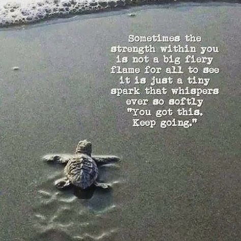 Sometimes the strength within you is not a big fiery spark.  It's just a tiny whisper.  "Keep going." Turtle Quotes, Quotes Strength, Inspiring Images, Quotable Quotes, Quotes About Strength, Motivation Quotes, Encouragement Quotes, Heartfelt Quotes, A Quote