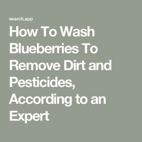 How To Wash Blueberries To Remove Dirt and Pesticides, According to an Expert Wash Blueberries, Fall Allergies, Best Thanksgiving Side Dishes, Drinking Lemon Water, Fruit And Vegetable Storage, Vegetable Storage, Chocolate Brands, Mail Sign, Simply Recipes