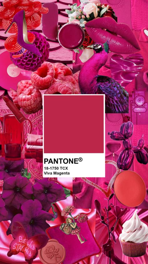 Viva Magenta #vivamagenta #pantone #pantonevivamagenta #magenta Uñas Color Magenta, Magenta Colour Palette, Pantone Color Of The Year 2023, Pantone 2023 Color Trends Fashion, Pantone Viva Magenta Outfit, Magenta Outfit Ideas, Pantone Color 2023, Viva Magenta Outfit, Magenta Color Combinations