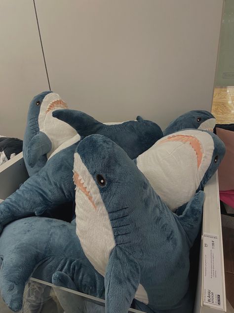 Big Shark Plush, Weighted Shark Plush, Shark Plushie Ikea, Cute Shark Plush, Shark Bedroom Aesthetic, Cute Shark Stuff, Shark Stuffy, Blajah Shark, Shark Room Aesthetic