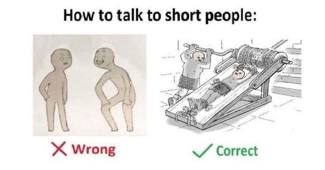 Meme Roundup: How To Talk To Short People - Memebase - Funny Memes Short People Memes, Short Memes, Small People, Short People, How To Talk, Quality Memes, Crazy Funny Memes, Know Your Meme, Snl