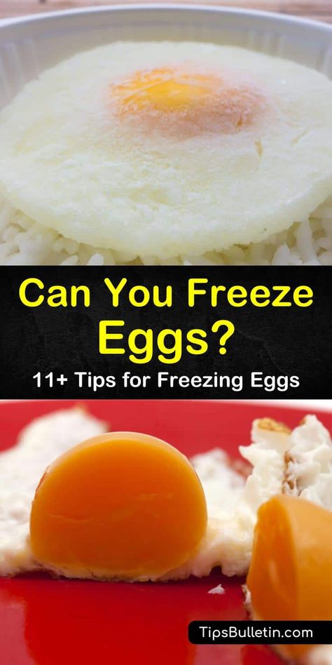 Freezing Egg Whites, How To Freeze Eggs, Can You Freeze Eggs, Freeze Eggs, Amish Cookies, Mounds Cake, Breakfast Bundt Cake, Kitchen Knowledge, Pineapple Casserole