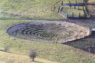 Air Well, Pond Construction, Water From Air, Greenhouse Design, Natural Farming, Permaculture Gardening, Permaculture Design, Rainwater Harvesting, Water Collection