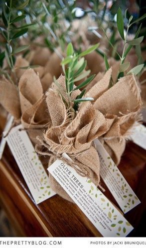 Olive Tree Wedding, Dinner Party Place Settings, Tree Wedding Favors, Tree Favors, Olive Branch Wedding, Olive Wedding, Tree Seedlings, Wedding Favors Fall, Wedding Place Settings