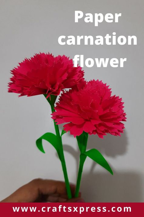 Paper Carnations, Paper Carnations Diy, Construction Paper Flowers, Easy Origami Flower, Construction Paper Crafts, How To Make Origami, Carnation Flower, Angel Crafts, Handmade Flowers Paper