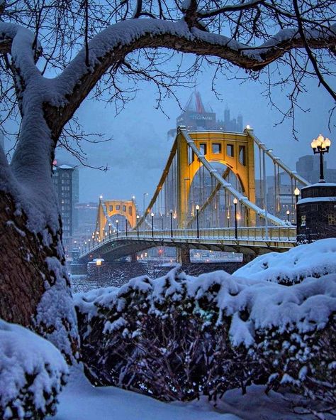 ✨ Christmas Girl ✨’s Instagram post: “Cold, Wintery night in Pittsburgh, Pennsylvania ❄️❄️❄️ #christmastrees #christmasvibes #christmaslove #christmasmagic #christmascountdown…” Visit Pittsburgh, Pittsburgh City, New York Life, Pittsburgh Pennsylvania, Winter Is Here, Travel Brochure, George Washington Bridge, City Aesthetic, Winter Landscape