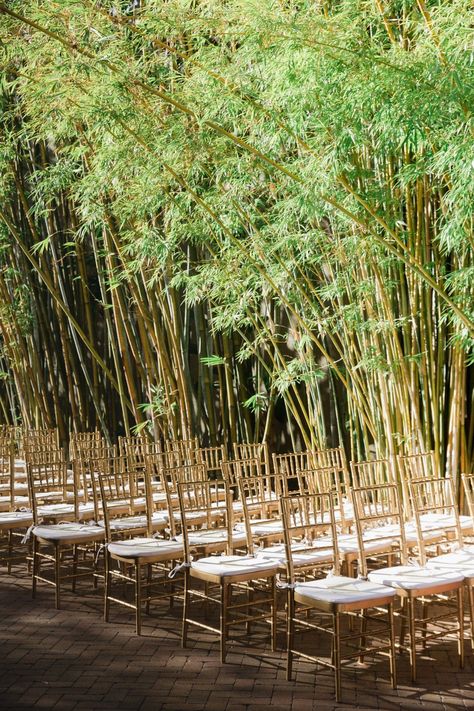 Bamboo Wedding Decor, Non Binary Wedding, Creekside Wedding, Forest Wedding Reception, Bamboo Wedding, Wedding Lunch, Dark Face, Garden Wedding Ceremony, St Pete Wedding