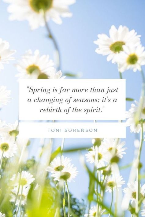 Springtime Quotes, Green Traffic Light, Russian Proverb, Margaret Elizabeth, Gustav Mahler, George Santayana, Spring Quotes, Joy Quotes, Beginning Of Spring