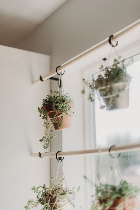 This is a great way to liven up a small window or is very practical if you use a lot of herbs in your cooking. Again, before I realized I didn’t have the green thumb for herbs I planted cilantro, basil, oregano and rosemary. I killed them, so quickly. So. Quickly. I ended up replacing them with these easy to care for succulents. Diy Window Plant Hanger, Window Plant Hanger, Plant Window, Window Plants, Hanging Plants Indoor, Small Window, Inside Plants, Plant Decor Indoor, Diy Window